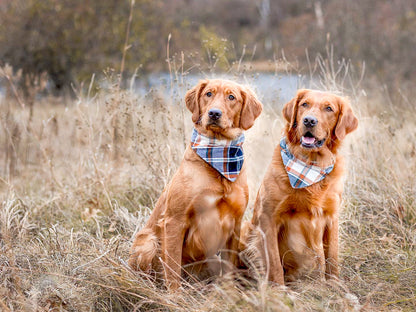 "Solid Color" Dog Bandana